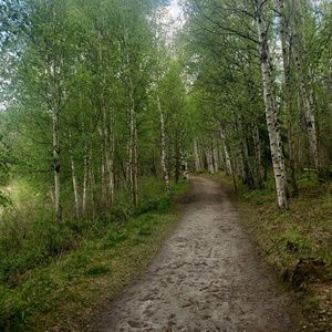 Meet your Posher, Selena